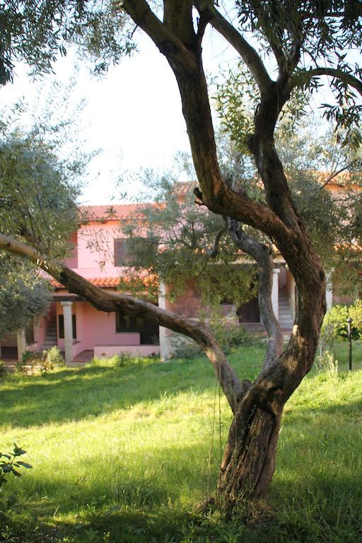 Residence Approdo Verde San Teodoro  Zimmer foto